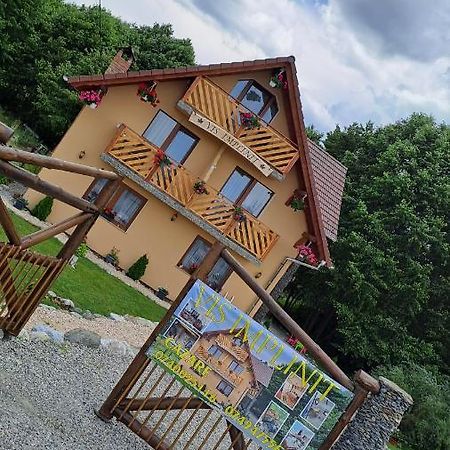 Hotel Vis Implinit Cîrţişoara Esterno foto