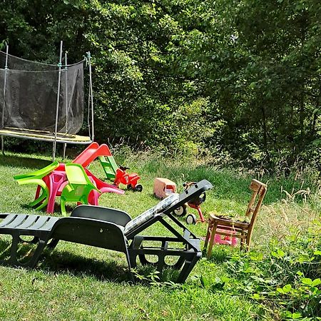 Hotel Vis Implinit Cîrţişoara Esterno foto