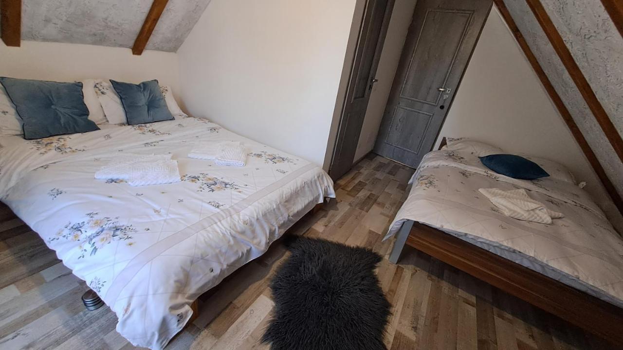 Hotel Vis Implinit Cîrţişoara Esterno foto