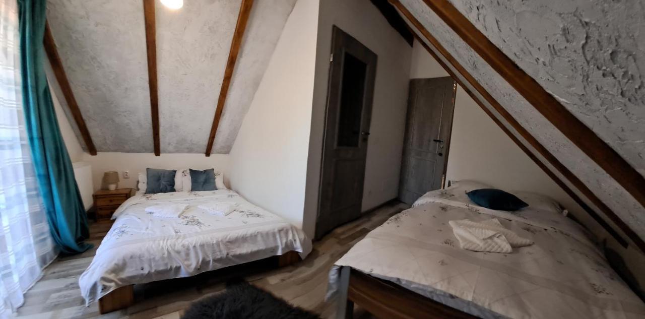 Hotel Vis Implinit Cîrţişoara Esterno foto