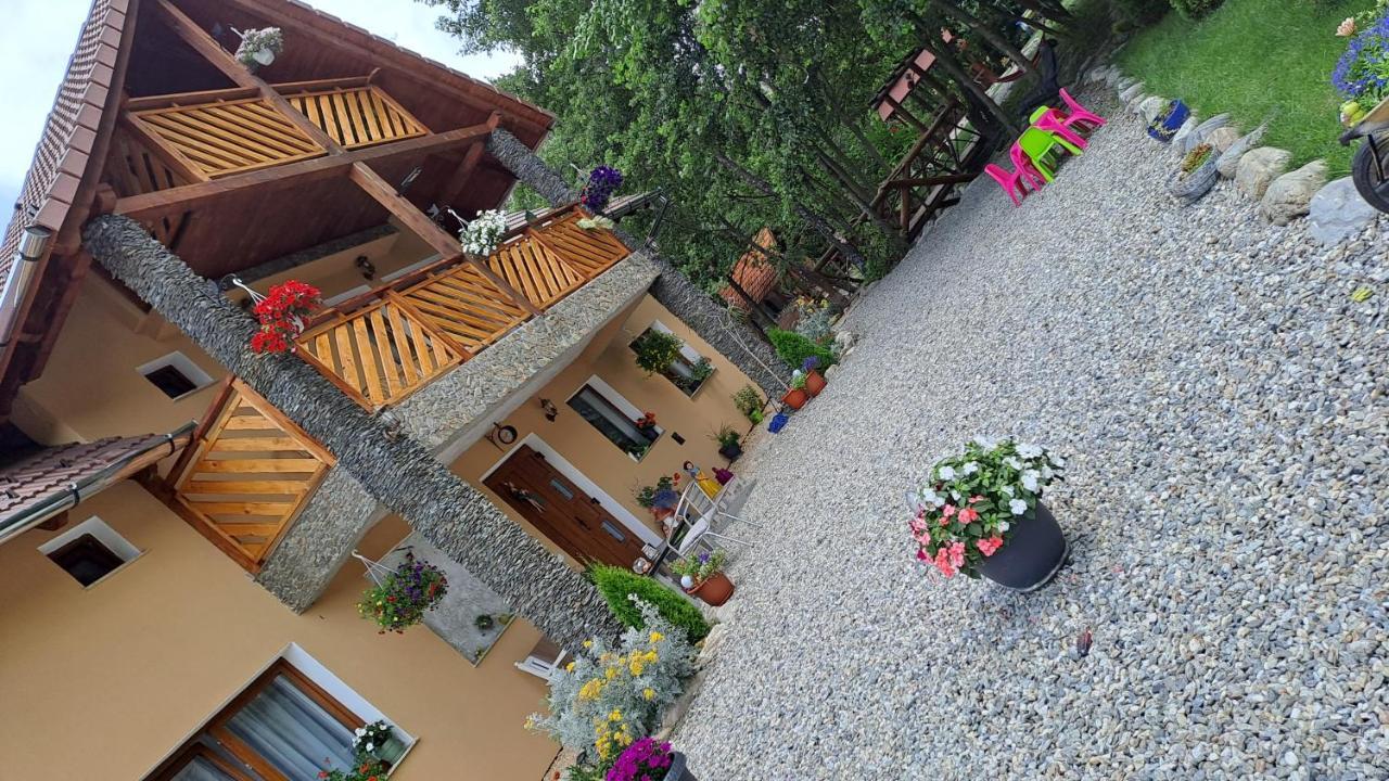 Hotel Vis Implinit Cîrţişoara Esterno foto