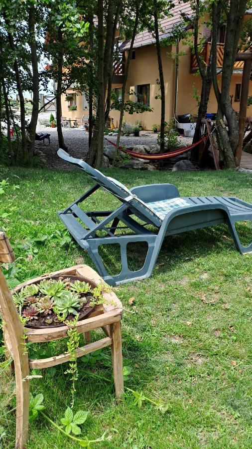 Hotel Vis Implinit Cîrţişoara Esterno foto