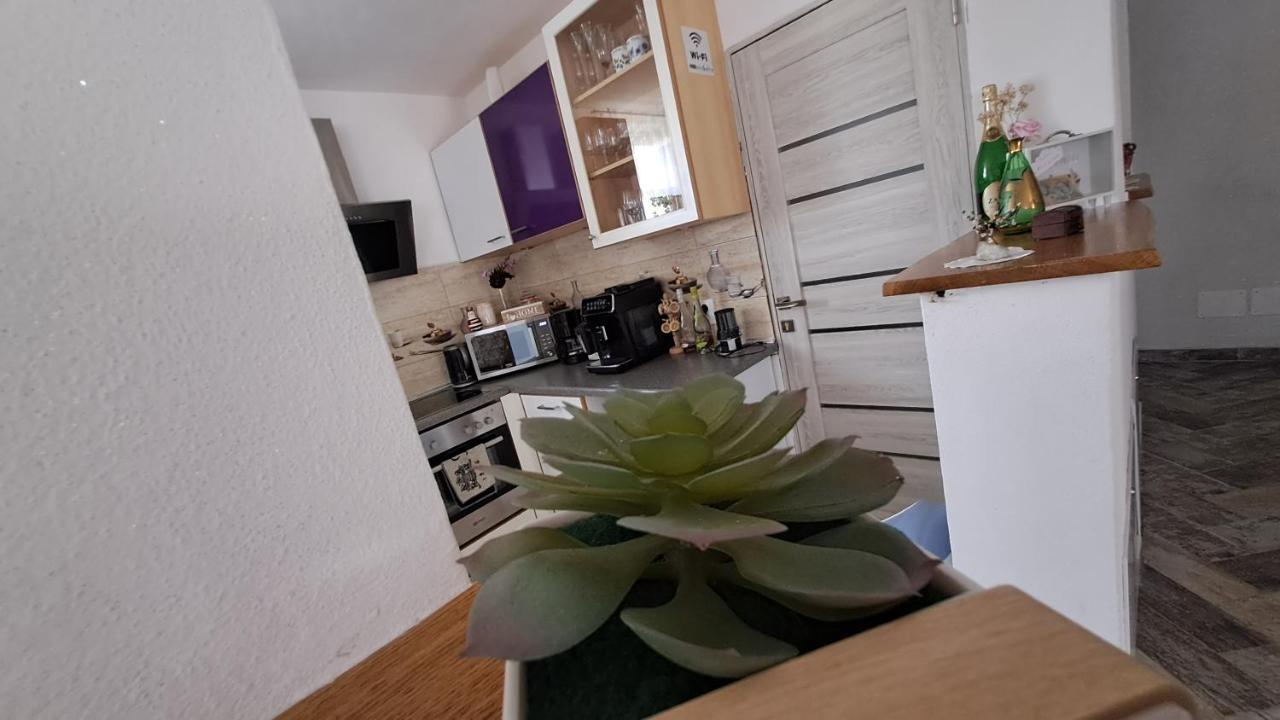 Hotel Vis Implinit Cîrţişoara Esterno foto