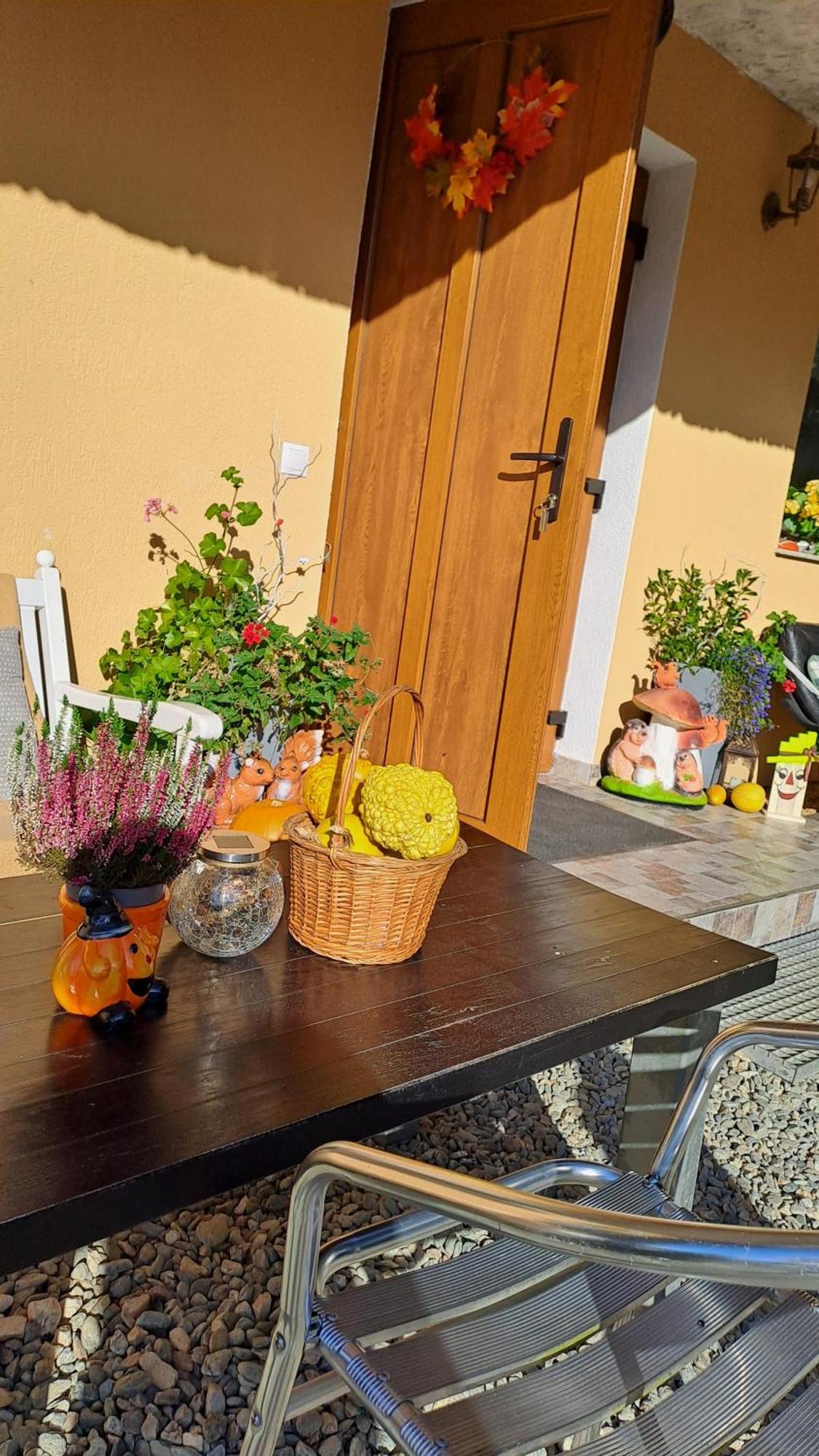 Hotel Vis Implinit Cîrţişoara Esterno foto