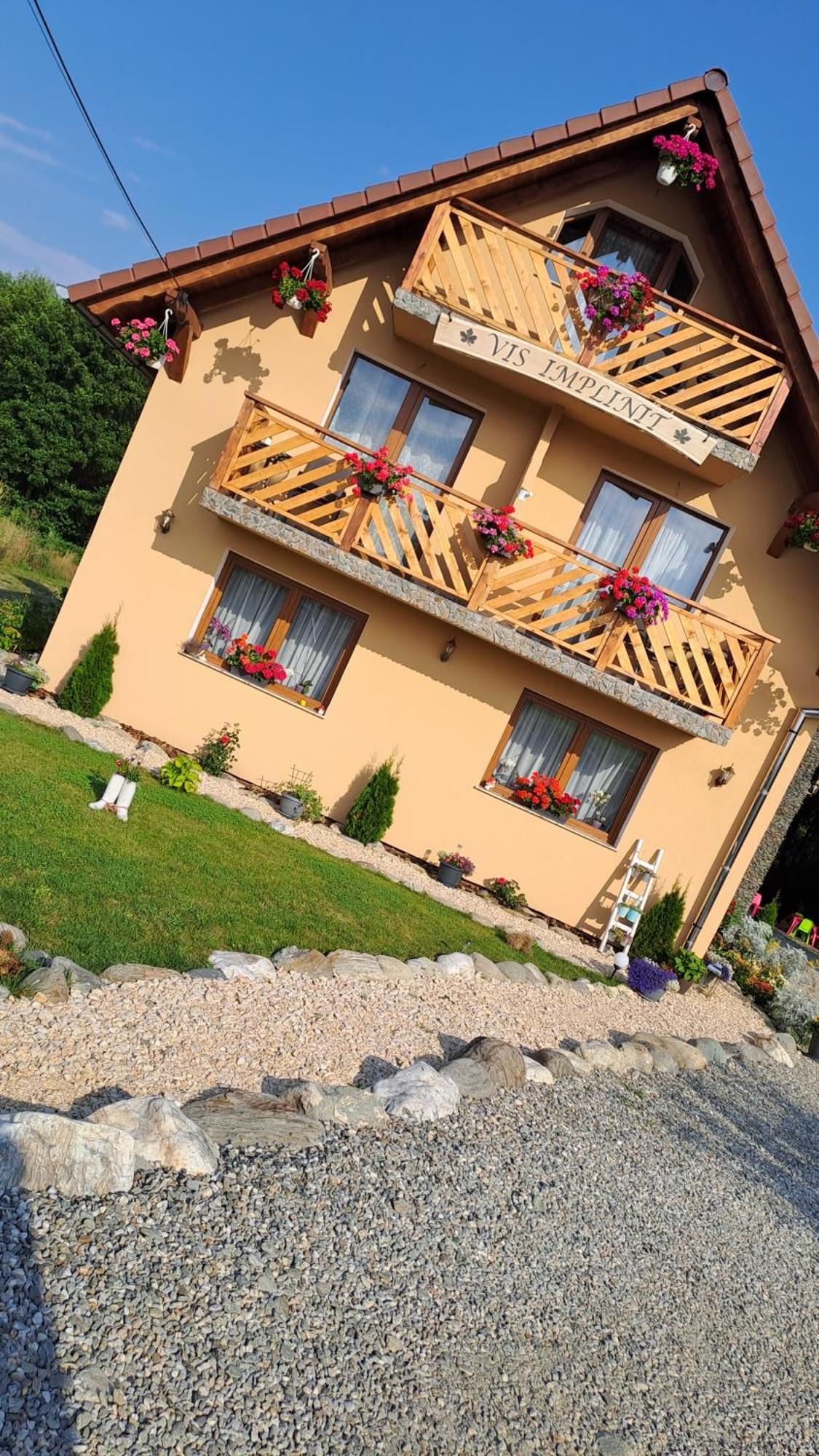 Hotel Vis Implinit Cîrţişoara Esterno foto
