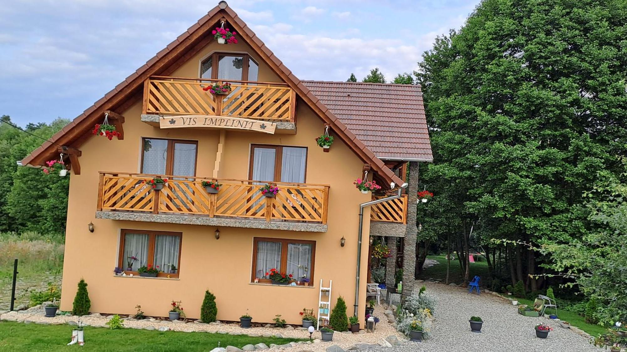 Hotel Vis Implinit Cîrţişoara Esterno foto