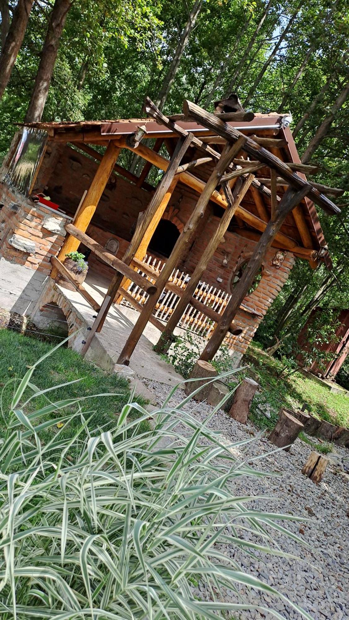 Hotel Vis Implinit Cîrţişoara Esterno foto